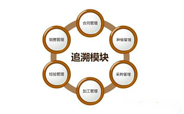 区块链蜜桃在线视频溯源技术解决方案